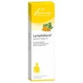 Produktbild: Lymphdiaral® sensitiv Salbe N