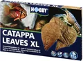 Produktbild: Dohse HOBBY Catappa Leaves XL | 12 Stück