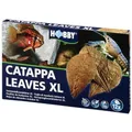 Produktbild: Catappa Leaves Seemandelbaumblätter XL 12 Stück