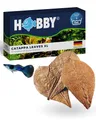 Produktbild: HOBBY Aquaristik Catappa Leaves XL I 12 Stück I große Seemandelbaumblätter für Aquarien I fördert Vitalität und Wohlbefinden von Fischen und Garnelen I natürlicher Wasserzusatz für Süßwasseraquarien