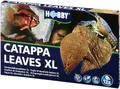 Produktbild: Hobby Catappa Leaves Seemandelbaumblätter XL 12 Stück Wasserpflege Garnelen