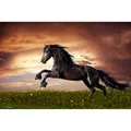 Produktbild: CoverYourDesk Schreibtischunterlage Schwarzes Pferd (21557376)