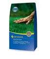 Produktbild: Kiepenkerl Schatten-Rasensamen, 2 kg - 651500