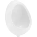 Produktbild: LuxeBath ECD Germany Urinal Weiß 35×46×30 cm Zulauf hinten – Keramik Pissoir oval, spülrandlos, moderner Stil, senkrechter Ablauf