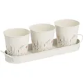 Produktbild: Zeller Present Kräutertopf Set Flowers 4-teilig Metall 37x10.5x11 cm (37 x 10.50 x 11 cm) (19405-140408.9405)