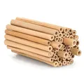 Produktbild: Beesi Bambusröhrchen für Insektenhotel 100 Stück 10cm Länge I Insektenhaus für Wildbienen I Wildbienenhotel Nisthülsen Bienenhotel I Füllmaterial Bienenkasten Insektenkasten (200 Stück, 10 cm Länge)