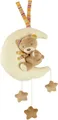 Produktbild: Fehn Spieluhr Rainbow, Teddy im Mond