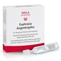 Produktbild: Euphrasia Augentropfen 10X0.5 ml