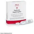 Produktbild: Euphrasia Augentropfen 10x 0,5ml