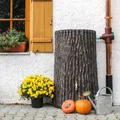 Produktbild: Regentonne Baumstamm Wassertonne Wasserfass Regenfass 300 l Evergreen Lite