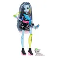 Produktbild: Monster High Frankie Puppe (JHK31)