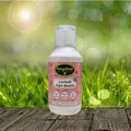 Produktbild: FangGold Lachsöl High Quality 500 ml