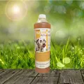 Produktbild: Fazoo Olio Vivo Active 1.000 ml