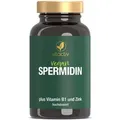 Produktbild: SPERMIDIN Kapseln + Vitamin B1 + Zink