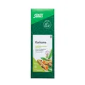Produktbild: Salus Kurkuma Tee bio 100g (99,50 EUR/kg)