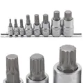 Produktbild: Bit Einsatz Satz Innenvielzahn XZN M4 - M5 - M6 - M8 - M10 - M12 - M14 - M16