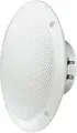 Produktbild: Visaton FR 16 WP - 4 Ohm 6.5 Zoll 16cm Breitbänder 60W 4Ω Weiß Seewasserbeständig