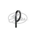 Produktbild: Gates Keilriemen für Alfa Daewoo Daihatsu Fiat Iveco Kia Lancia Opel VW
