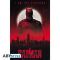 Produktbild: DC COMICS - Poster 