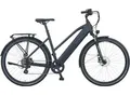 Produktbild: E-Bike PROPHETE 