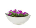 Produktbild: matches21 HOME & HOBBY Blumentopf Große Pflanzschale oval 34 cm für draussen Dekoschale creme-weiss (1 St), Blumen-Schale als wetterfeste Friedhof-Schale Grab-Schmuck Grabschale