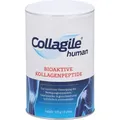 Produktbild: Collagile Human Pulver zur nutritiven Versorgung des Bewegungsapparates, 300 g Pulver