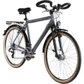 Produktbild: ZÜNDAPP T700 Herren Trekking Fahrrad 28 Zoll V-Brakes Federgabel ab 160 cm