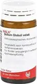 Produktbild: SOLUM Globuli velati 20 g