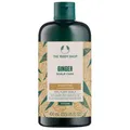 Produktbild: INGWER-Shampoo 400 ml