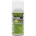Produktbild: Petec Klimaanlagenreiniger fresh & clean Orange Erfrischer 75ml 71460