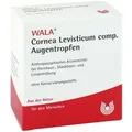Produktbild: Cornea/ Levisticum compositus Augentropfen