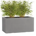 Produktbild: Pflanzwerk® Pflanzkübel TUB Premium Fiberglas Blumenkübel Frostbeständig mit Lotus-Effekt, Fiberglas - Handgefertigt - Rechteckig - Frostbeständig grau 80 cm x 40 cm x 40 cm