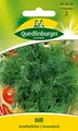 Produktbild: Dill, Gewöhnlicher Quedlinburger Saatgut Samen 492852