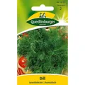 Produktbild: Dill, Gewöhnlicher