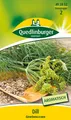 Produktbild: Dill Gewöhnlicher Samen von Quedlinburger Saatgut