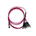 Produktbild: BlueOptics© Fiber Breakout Cable, MTP/UPC, 4xDuplex ST/PC, 1 Meter, Multi-mode G