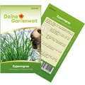 Produktbild: Deine Gartenwelt Zyperngras Samen