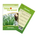 Produktbild: Zyperngras Katzengras Samen - Cyperus zumula - Zyperngrassamen - Katzengrassamen