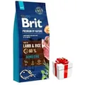 Produktbild: BRIT Premium By Nature Sensitive Lamm 8kg + Überraschung für den Hund