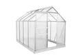 Produktbild: Zelsius Gewächshaus Aluminium Gewächshaus mit Fundament, 250 x 190 cm, 4 mm Hohlkammerplat, BxTxH: 190.00 x 250 x 195 cm