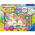 Produktbild: Ravensburger Malen nach Zahlen-Set: 