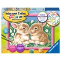 Produktbild: Ravensburger Malen nach Zahlen Niedliche Häschen Ostern Hasen Beschäftigung