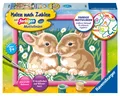 Produktbild: Ravensburger - Malen nach Zahlen - Niedliche Häschen