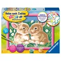Produktbild: Ravensburger Malen nach Zahlen 27695 - Niedliche Häschen – Kinder ab 7 Jah
