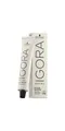 Produktbild: Schwarzkopf Haarfarbe Schwarzkopf Igora Royal Absolutes SilverWhite Slate Grey 60ml