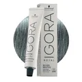 Produktbild: Schwarzkopf Igora Royal SW Slate Grey 60ml - Permanente Färbung