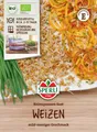 Produktbild: Sperli BIO Keimsprossen-Saat Weizen