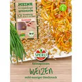Produktbild: Sperli BIO Keimsprossen Weizen - Sprossen