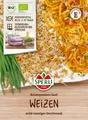 Produktbild: Keimsprossen - Bio-Keimsprossen Weizen von Sperli-Samen