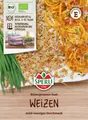 Produktbild: BIO Keimsprossen Weizen, Weizengras - Triticum aestivum, 30 g Samen, 85000